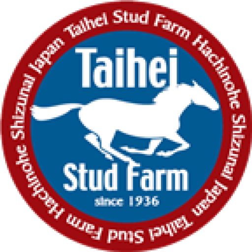 ホーム 競走馬の生産 育成 競り タイヘイ牧場